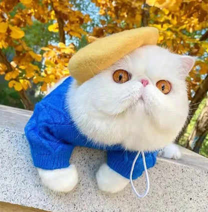 Pet Winter Wool Cap