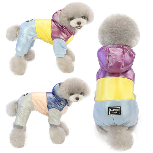 Winter Fashion for Dogs - Stylish Pet Clothing