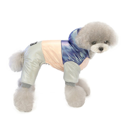 Winter Fashion for Dogs - Stylish Pet Clothing